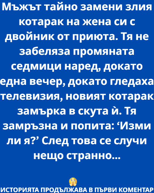 Screenshot_9