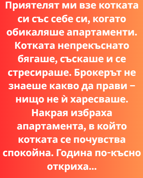 Screenshot_9